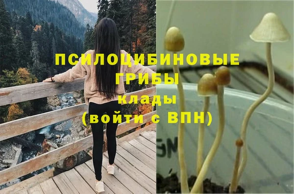 тгк Балахна