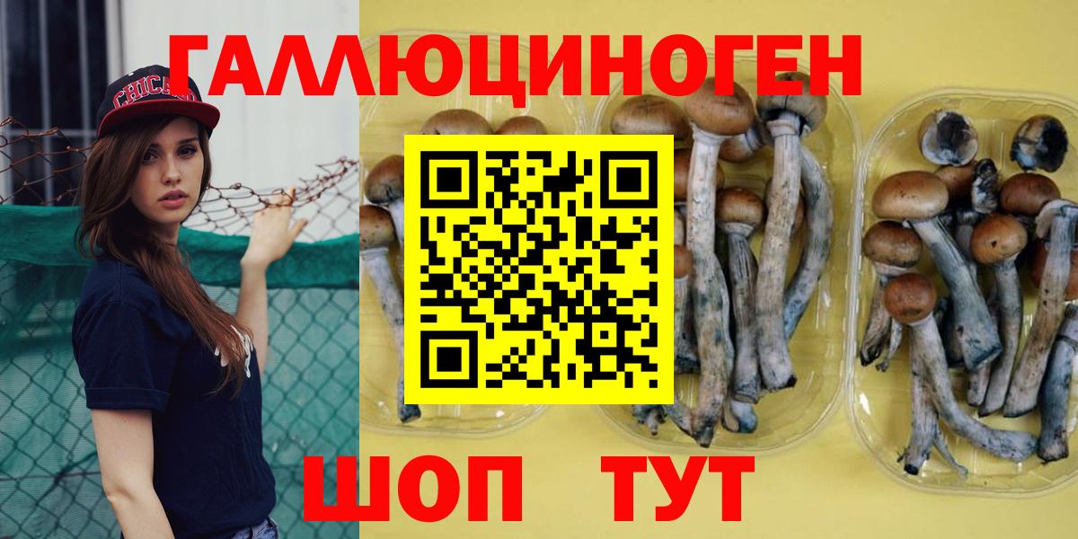 Галлюциногенные грибы ЛСД Кузнецк