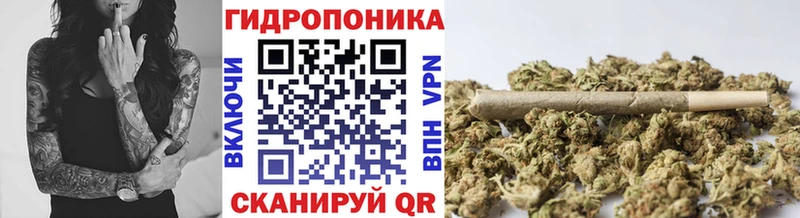 Шишки марихуана конопля  где найти   Кузнецк 